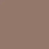 Muted walnut brown color field, matte finish, uniform tone, evoking wood and leather, consistent throughout the composition, earthy aesthetic.